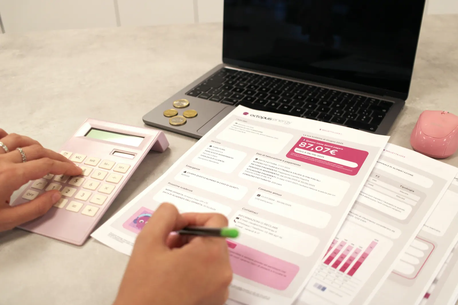 Florida business formation and startup